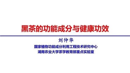 茶的功能成分與健康功效 | 茶、飲茶與健康