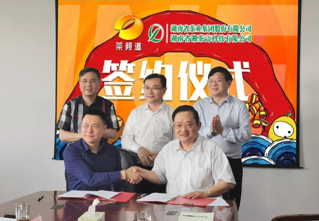 院士見(jiàn)證，輕輕茶發(fā)力品牌建設(shè)，與茶頻道達(dá)成深度合作