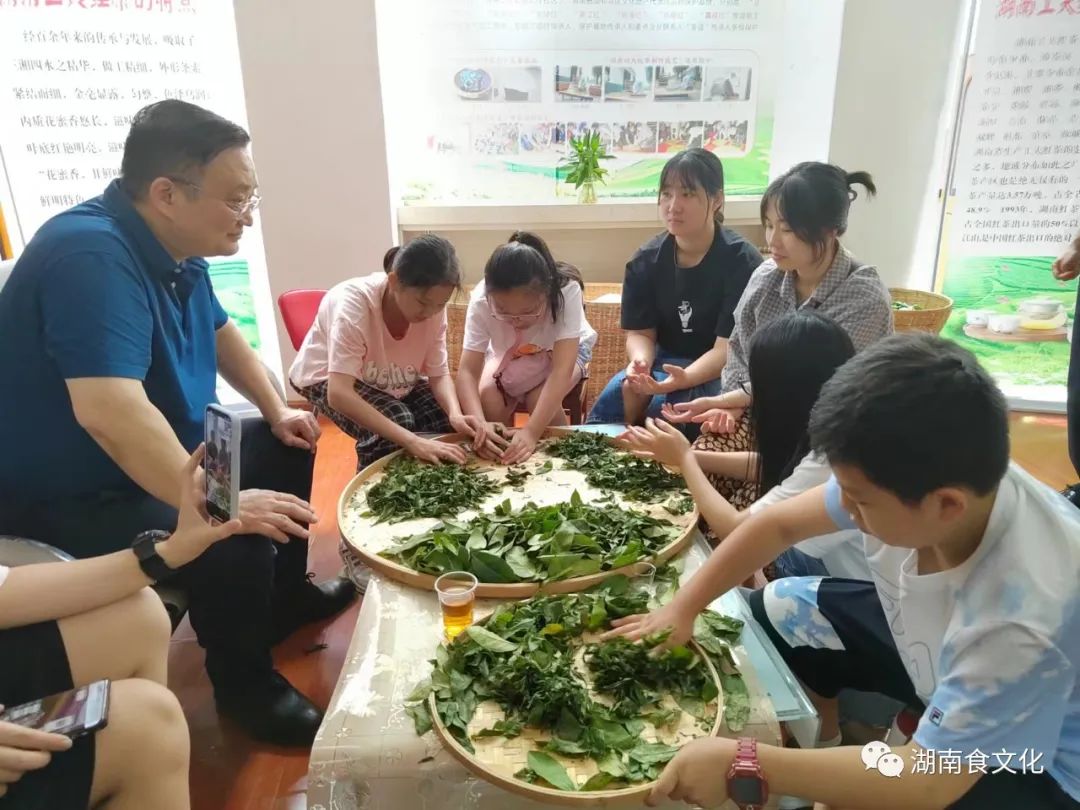 原載人民日報“人民視點”茶葉是怎樣做出來的？湖南大、中、小學生體驗湖南工夫紅茶制作
